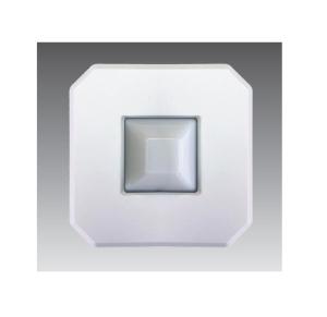 Telecor eLD-1 Network Strobe