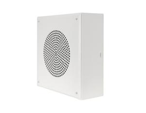 Quam System 1VP Vandal Resistant Loudspeaker